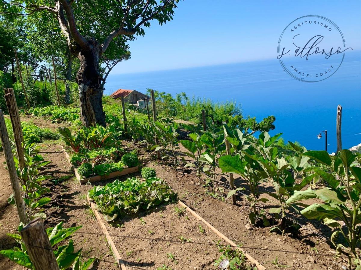 Country House Sant Alfonso فوروري المظهر الخارجي الصورة